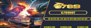 Đá Gà Cựa Sắt, Phi, Dao Từ CPC1 Đến CPC6 Cực Nét